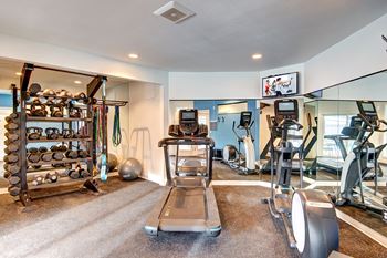 A gym with cardio machines and weights on the floor